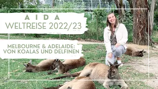 AIDA Weltreise 2022/23 - Melbourne & Adelaide: Von Koalas und Delfinen - VLOG Teil 22