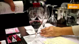 Дегустация аликантийских вин компании Bocopa