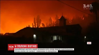 У Чилі вирують лісові пожежі. Є загиблі