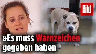 Eine Tierärztin erklärt, wie „Chico“ sein Frauchen und deren Sohn totbeißen konnte