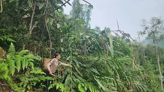 The woman went into the forest alone to harvest galangal with big leaves and the ending