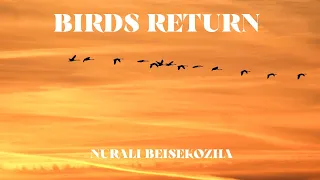 NURALI - BIRDS RETURN (original)