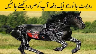 7 AMAZING ROBOT ANIMALS THAT YOU SHOULD SEE 2023