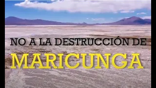 💧 Documental Maricunga: Ecosistema amenazado por la megamineria del litio