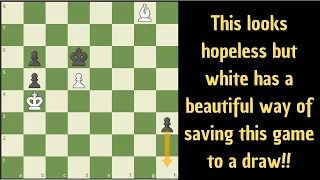 White can still get a draw here!
