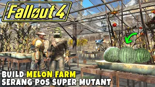 Bikin Melon Farm Tambah Penduduk Serang Pos Super Mutant Fallout 4 Indonesia Part 5