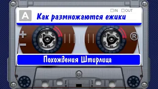 Похождения Штирлица - Как размножаются ежики, аудиокнига