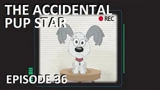 Pound Puppies - The Accidental Pup Star - Episode 36 (FULL EPISODE)