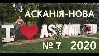 № 7 АСКАНІЯ НОВА