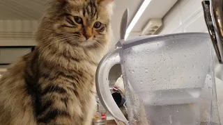 What is it used for? I can't even drink the water in it.