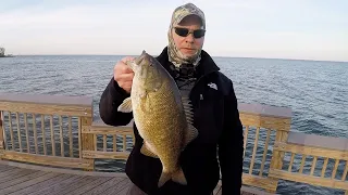 Consistently Catches Big Smallmouth Bass - Lake St Clair Shore Fishing