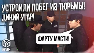 ДИКИЙ УГАР! СБИЛ ПАРНЯ И ПОПАЛ В ТЮРЬМУ! УСТРОИЛИ ПОБЕГ! АУЕ! (Next RP)