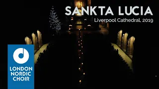 Swedish SANKTA LUCIA procession in Liverpool Cathedral - London Nordic Choir