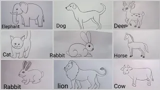 how to draw different types of animals drawing easy step by step@DrawingTalent