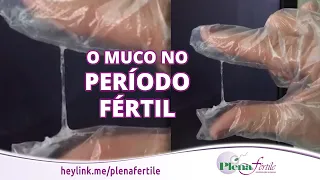 Quer saber como é o MUCO do PERÍODO FÉRTIL?