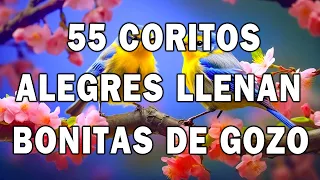 Coros De Fuego Del Espíritu Santo 🙏 Coros Viejitos Pero Bonitos ✝️ Coritos Pentecostales