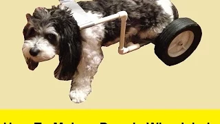 How To Make a Doggie Wheelchair for $25