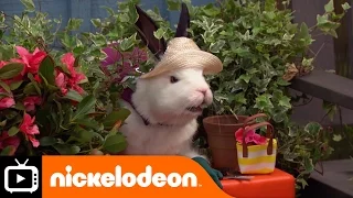 The Thundermans | Boyfriend Scouting | Nickelodeon UK