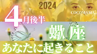 蠍座♏️ 【４月後半あなたに起きること】2024　次なる展開★ココママの個人鑑定級タロット占い🔮