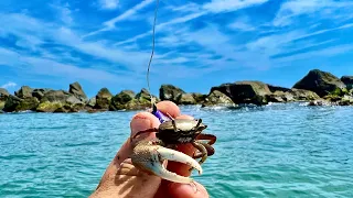 Dropped A Live Crab On These Jetty Rocks For Whatever I Can Catch (& Cook)