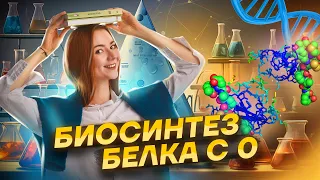 Биосинтез белка с 0. Вся теория + практика | Биология ЕГЭ 2024 | Умскул