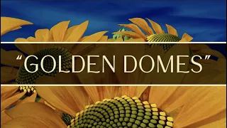 "Golden Domes" - from the album, Seeds of Peace, by Dean Evenson & Volodymyr Solianyk #relaxingmusic