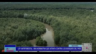 Ley Antiforestal: una normativa que atenta contra los bosques del país