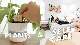 5 Life Lessons I Learned from My Plants | Om & The City