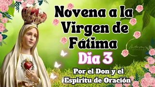 Novena a la Virgen de Fátima💕 | Dia Tercero | Aparición a los tres Pastocitos