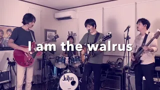 I Am the Walrus by The Beatles, cover of Oasis cover アイ・アム・ザ・ウォルラス　ビートルズ