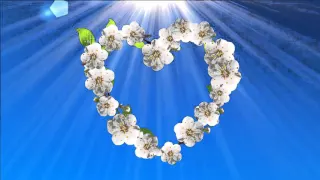 Spring flowers hearts video for title and background   Весенние цветы  Футаж для видеомонтажа