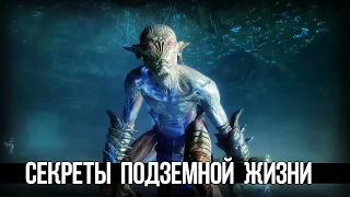 Skyrim Секреты Фалмеров и Другие Тайны Подземной Жизни Скайрима!