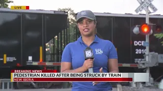 Pedestiran struck, killed by train live