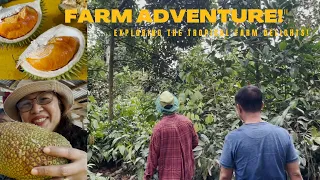 Exploring the Tropical Farm Delights! @ Bautista's Farm.