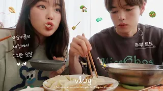 일본 일상 vlogㅣ새 집에서 집밥 요리, 집청소 (ft.주부토모)🏡ㅣ다이슨 청소기 언박싱ㅣ코리안마켓에서 라면 사재기ㅣ비자 결과ㅣ이치란라멘,BBQ치킨,규동,토모표 김치볶음밥🍜