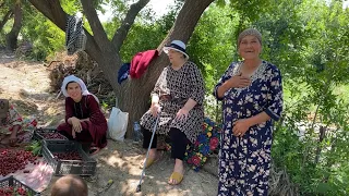 Узбекистан! Пожарили пирожки и поехали в гости в черешневый сад к знакомым