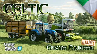 Financial Help - Celtic Grasslands REBOOT - Ballyspring - Episode 14