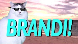 HAPPY BIRTHDAY BRANDI! - EPIC CAT Happy Birthday Song