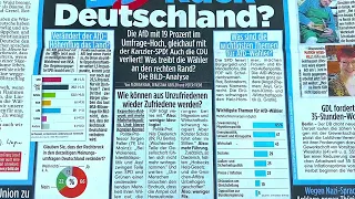 Darum werden immer mehr die AfD wählen Civey Umfrage zur Wirtschaft AKW  Laufzeitverlängerung u a