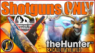 SHOTGUNS vs Rancho Del Arroyo! | Diamond & Rare Mule Deer in theHunter Call of the Wild!