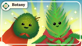 Why Don't These Plants Need Seeds? (Moss and Ferns): Crash Course Botany #8