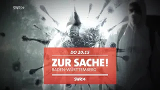 Corona-Strategie: Weniger testen und auf den Impfstoff warten - führt das aus der Krise? / "Zur Sach