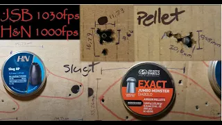 25gr Pellet Vs 25gr Slug in 22 cal