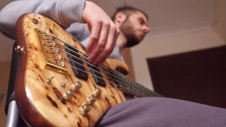 Pain Of Salvation - Meaningless (bass cover) Multi-Angle Video