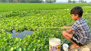 Amazing Hook Fishing 2023 | Village Small Boy Catch Fish by Hook From Canal With Beautiful Nature