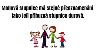 Stupnice 07   Předznamenání mollových stupnic