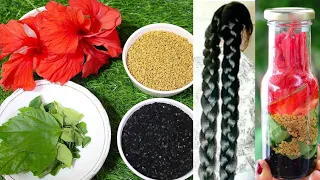 नारियल तेल में यह मिलाकर लगाओ सुबह तक बाल 1 इंच लंबे हो जाएंगे How to grow Faster? Hair Growth