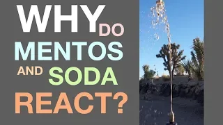 Why Mentos and Soda React