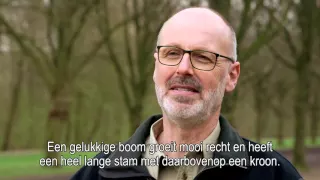 Het verborgen leven van bomen