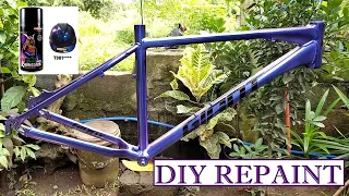 DIY Bike Frame Repaint (samurai)